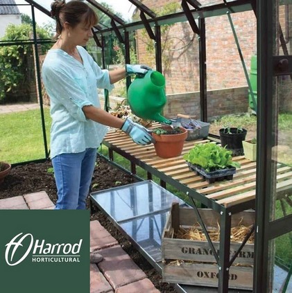 Greenhouse Staging and Shelving